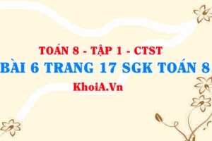 Bài 6 trang 17 SGK Toán 8 Tập 1 Chân trời sáng tạo